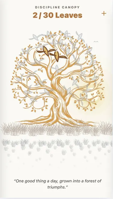 One Thing Daily Canopy Tree Screen
